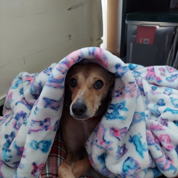 Meet your Posher, Mary - Picture 2 of 2